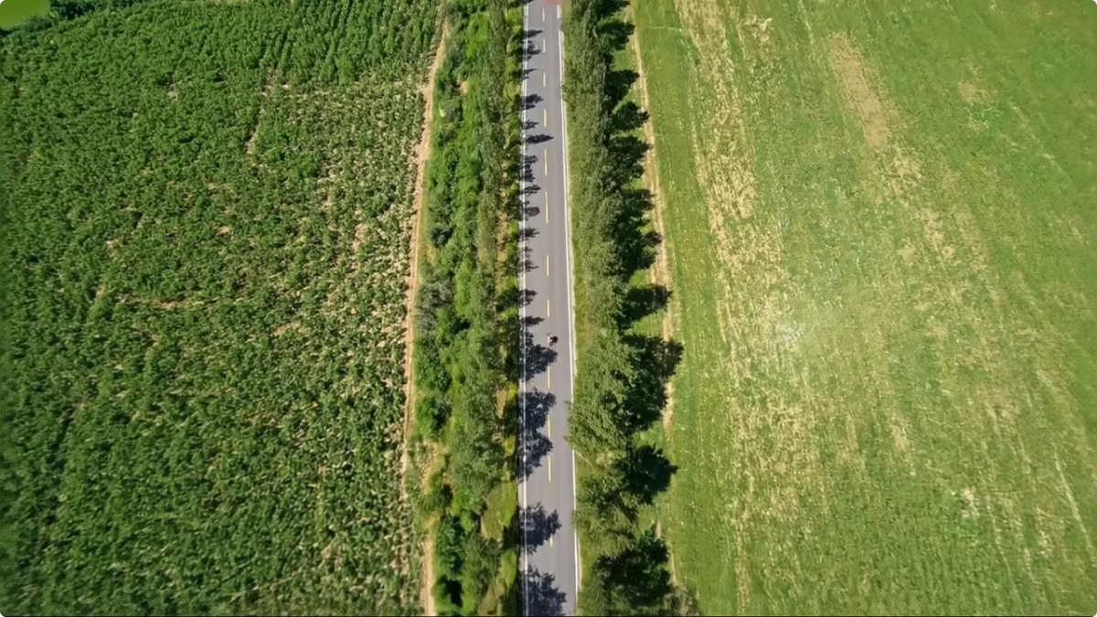AI Video Editing for POV Sports Clips with Rover Camera Movement