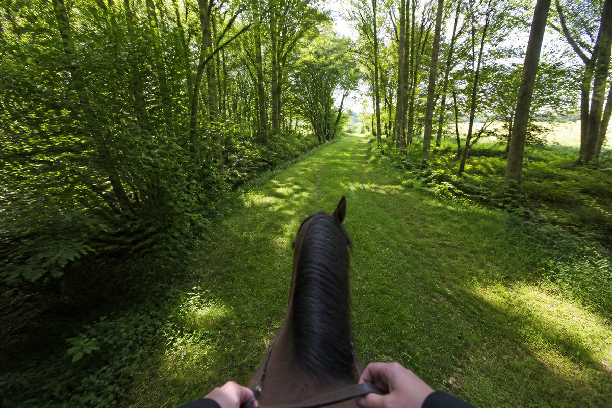 How to Record Horse Riding POV Video